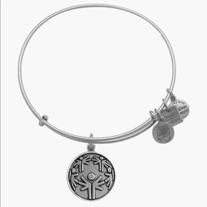 Alex and Ani unity bracelet in silver